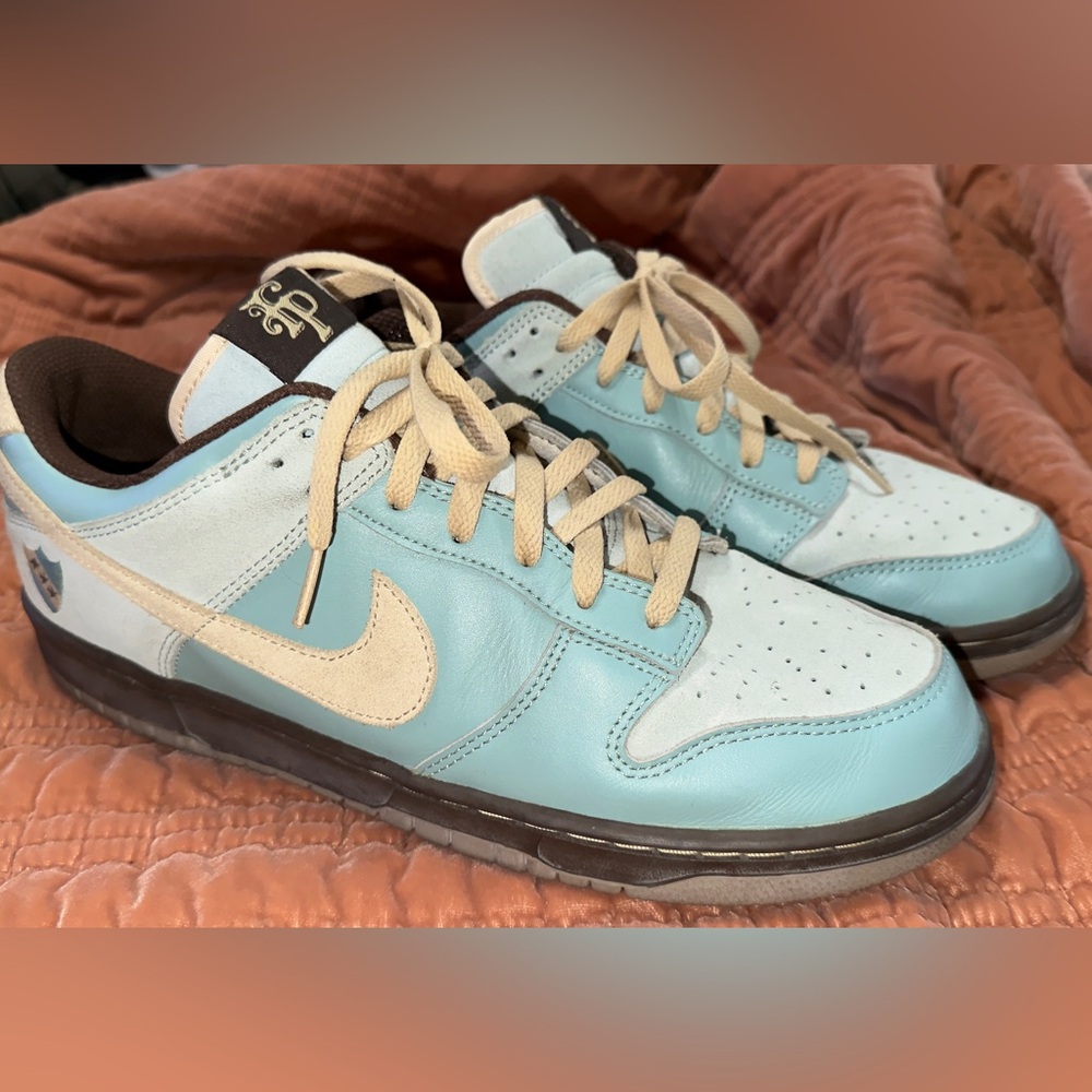 Nike SB Dunk size 13 “Flamingo Park- Argentina”